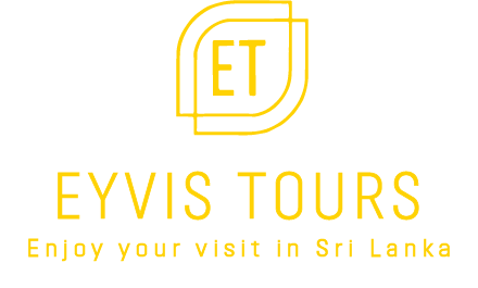 asset 1 et